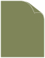 Cactus Matte Cover 8 1/2 x 11 - 25/Pk