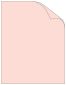 Rosa Plike Cover 8 1/2 x 11 - 25/Pk
