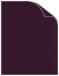 Viola Plike Cover 8 1/2 x 11 - 25/Pk