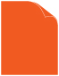 Orange Plike Cover 8 1/2 x 11 - 25/Pk