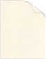 White Parchment Text 8 1/2 x 11 - 50/Pk
