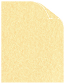 Champagne Parchment Text 8 1/2 x 11 - 50/Pk