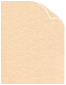 Brown Parchment Text 8 1/2 x 11 - 50/Pk
