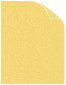 Translucent Gold Text 8 1/2 x 11 - 50/Pk