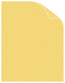 Translucent Gold Text 8 1/2 x 11 - 50/Pk