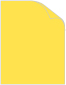 Translucent Yellow Text 8 1/2 x 11 - 50/Pk