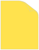 Translucent Yellow Text 8 1/2 x 11 - 50/Pk