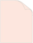 Translucent Pink Text 8 1/2 x 11 - 50/Pk