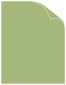 Translucent Green Text 8 1/2 x 11 - 50/Pk