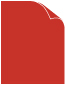 Translucent Red Text 8 1/2 x 11 - 50/Pk