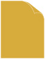 Rich Gold Text 8 1/2 x 11 - 50/Pk