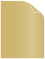 Gold Leaf Text 8 1/2 x 11 - 50/Pk