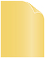 Gold Text 8 1/2 x 11 - 50/Pk