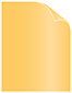 Amber Text 8 1/2 x 11 - 50/Pk