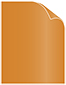 Copper Text 8 1/2 x 11 - 50/Pk