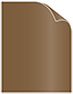 Bronze Text 8 1/2 x 11 - 50/Pk