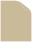 Sand Text 8 1/2 x 11 - 50/Pk