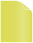 Lime Text 8 1/2 x 11 - 50/Pk
