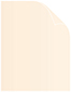 Coral Text 8 1/2 x 11 - 50/Pk