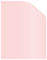 Rose Text 8 1/2 x 11 - 50/Pk