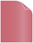 Azalea Text 8 1/2 x 11 - 50/Pk