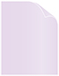 Alpine Text 8 1/2 x 11 - 50/Pk