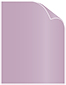 Violet Text 8 1/2 x 11 - 50/Pk