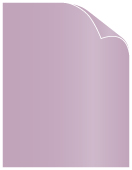 Violet Text 8 1/2 x 11 - 50/Pk