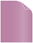 Punch Text 8 1/2 x 11 - 50/Pk
