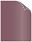Ruby Text 8 1/2 x 11 - 50/Pk