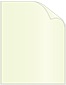 Mint Text 8 1/2 x 11 - 50/Pk