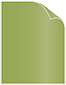 Fairway Text 8 1/2 x 11 - 50/Pk