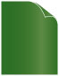 Botanic Text 8 1/2 x 11 - 50/Pk