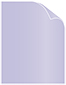 Vista Text 8 1/2 x 11 - 50/Pk