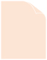 Rosa Arturo Text 8 1/2 x 11 - 50/Pk