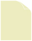 Celadon Arturo Text 8 1/2 x 11 - 50/Pk