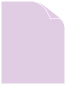 Lavanda Arturo Text 8 1/2 x 11 - 50/Pk