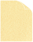 Champagne Parchment Cover - 65 lb - 8 1/2 x 11 - 25/Pk