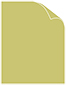 Tropical Green Matte Cover 8 1/2 x 11 - 25/Pk