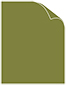 Olive Matte Cover 8 1/2 x 11 - 25/Pk