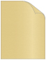 Gold Pearl Cover 8 1/2 x 11 - 25/Pk