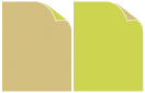 Chlorophyll-Yellow (80 lb) Duplex Cover 8 1/2 x 11 -- 25/Pk