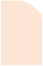 Rosa Arturo Cover 11 x 17 - 25/Pk