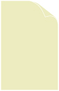 Celadon Arturo Cover 11 x 17 - 25/Pk