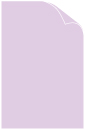 Lavanda Arturo Cover 11 x 17 - 25/Pk