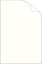 Bright White Dutch Felt Text 11 x 17 - 50/Pk
