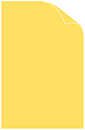 Lemon Drop Matte Cover 11 x 17 - 25/Pk