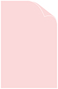 Pink Feather Matte Cover 11 x 17 - 25/Pk
