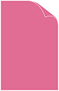 Peony Matte Cover 11 x 17 - 25/Pk