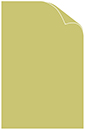 Tropical Green Matte Cover 11 x 17 - 25/Pk